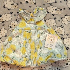 Burt's Bees Baby Yellow and Gray Accessory Set